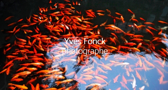 Yves Fonck